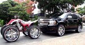 Greed_Wheel_Celebrity